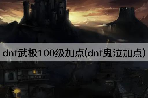 dnf武极100级加点(dnf鬼泣加点)