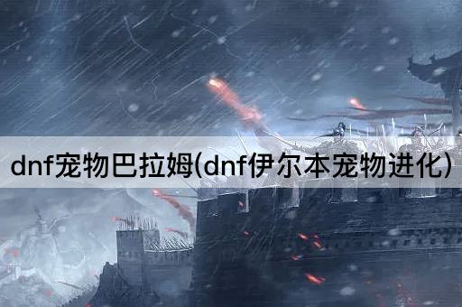 dnf宠物巴拉姆(dnf伊尔本宠物进化)