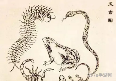 五毒的排名顺序(五毒之首是谁)