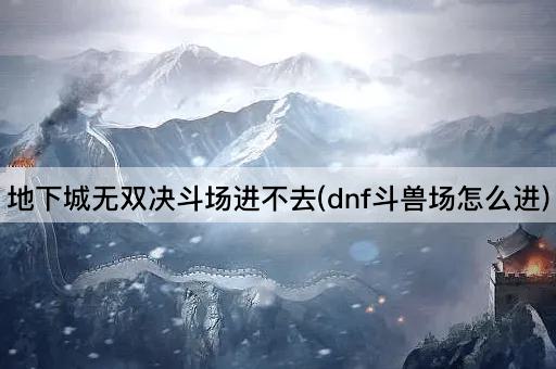 地下城无双决斗场进不去(dnf斗兽场怎么进)