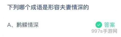 如何形容夫妻情深(夫妻情深的成语蚂蚁庄园)