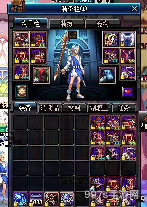冰结师穿皮甲还是轻甲(冰结师穿什么防具)